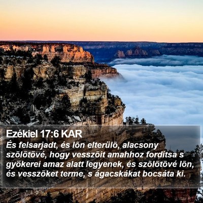 Ezékiel 17:6 KAR Bible Verse Image