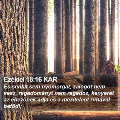 Ezékiel 18:16 KAR Bible Verse Image