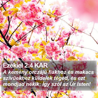 Ezékiel 2:4 KAR Bible Verse Image