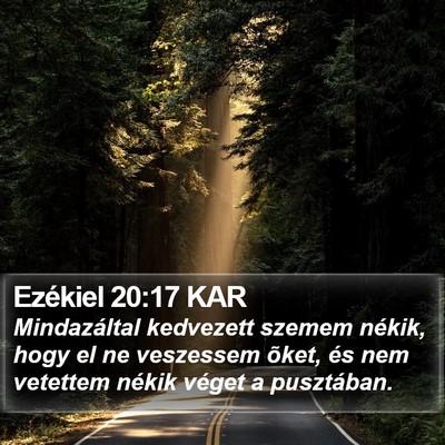 Ezékiel 20:17 KAR Bible Verse Image