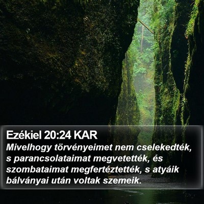 Ezékiel 20:24 KAR Bible Verse Image