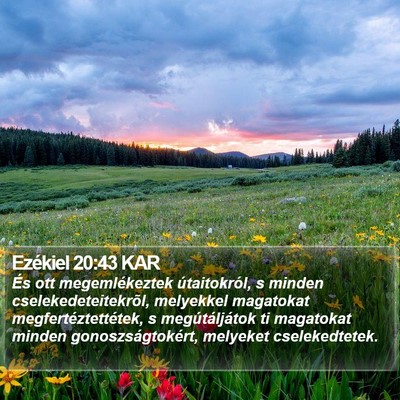 Ezékiel 20:43 KAR Bible Verse Image
