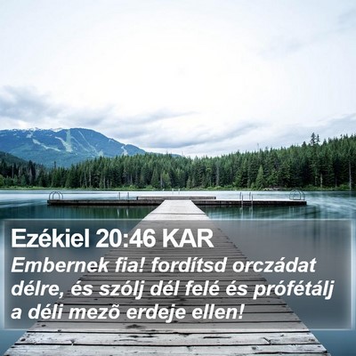 Ezékiel 20:46 KAR Bible Verse Image