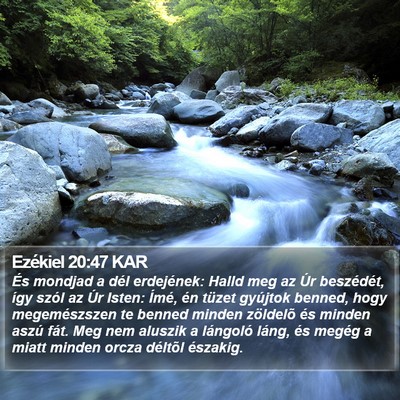 Ezékiel 20:47 KAR Bible Verse Image