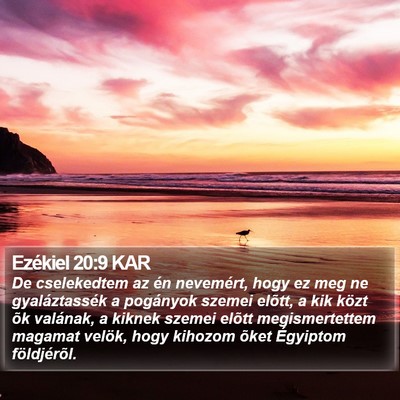 Ezékiel 20:9 KAR Bible Verse Image