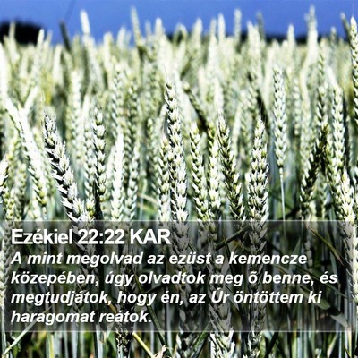 Ezékiel 22:22 KAR Bible Verse Image