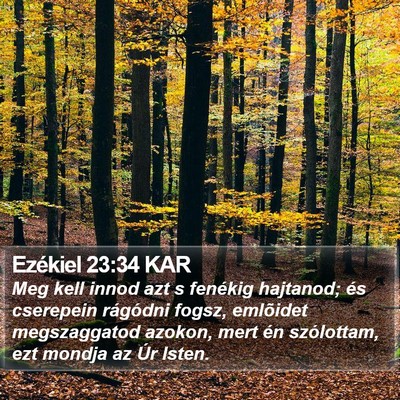Ezékiel 23:34 KAR Bible Verse Image