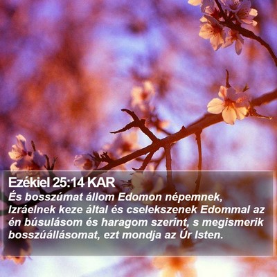 Ezékiel 25:14 KAR Bible Verse Image
