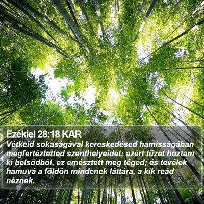 Ezékiel 28:18 KAR Bible Verse Image