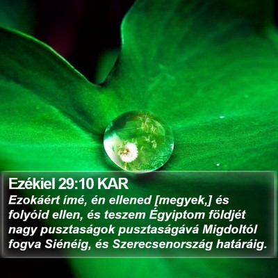 Ezékiel 29:10 KAR Bible Verse Image