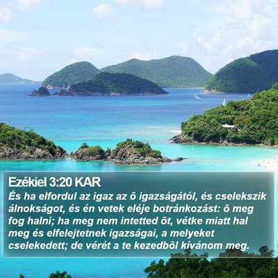 Ezékiel 3:20 KAR Bible Verse Image