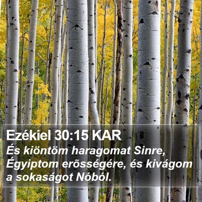 Ezékiel 30:15 KAR Bible Verse Image