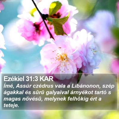 Ezékiel 31:3 KAR Bible Verse Image
