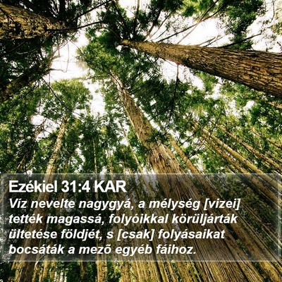 Ezékiel 31:4 KAR Bible Verse Image