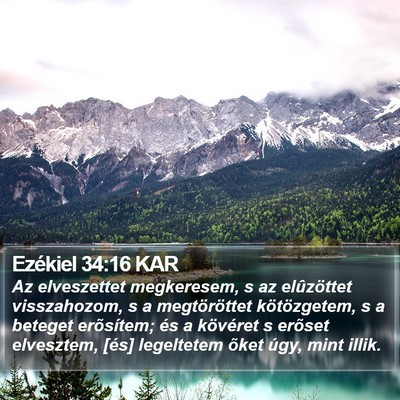 Ezékiel 34:16 KAR Bible Verse Image