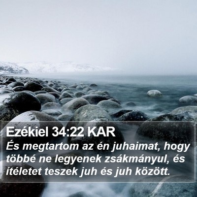 Ezékiel 34:22 KAR Bible Verse Image