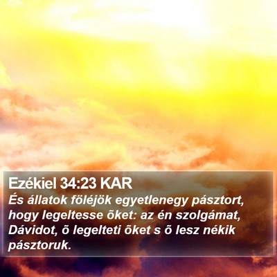Ezékiel 34:23 KAR Bible Verse Image