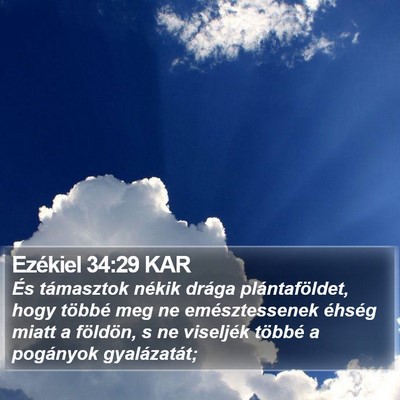 Ezékiel 34:29 KAR Bible Verse Image