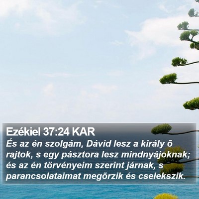 Ezékiel 37:24 KAR Bible Verse Image