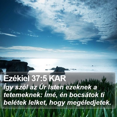 Ezékiel 37:5 KAR Bible Verse Image