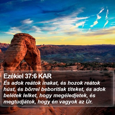 Ezékiel 37:6 KAR Bible Verse Image