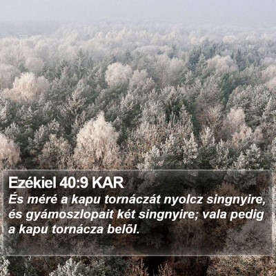 Ezékiel 40:9 KAR Bible Verse Image