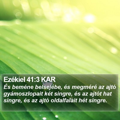 Ezékiel 41:3 KAR Bible Verse Image