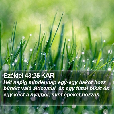 Ezékiel 43:25 KAR Bible Verse Image
