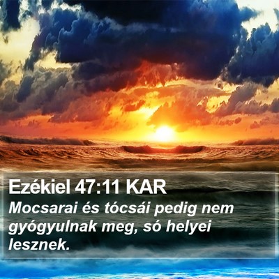 Ezékiel 47:11 KAR Bible Verse Image