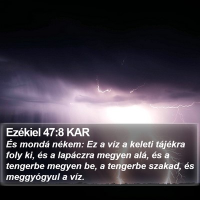 Ezékiel 47:8 KAR Bible Verse Image