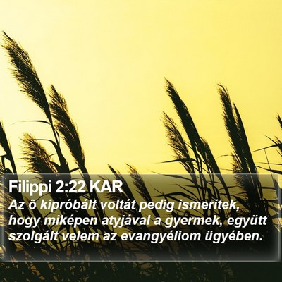 Filippi 2:22 KAR Bible Verse Image