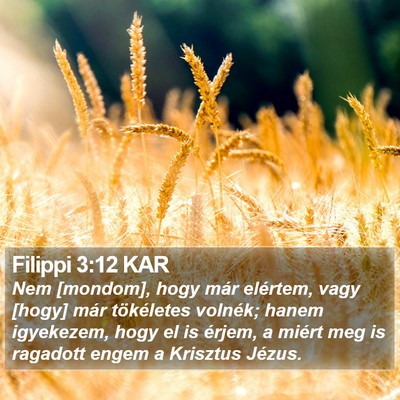 Filippi 3:12 KAR Bible Verse Image
