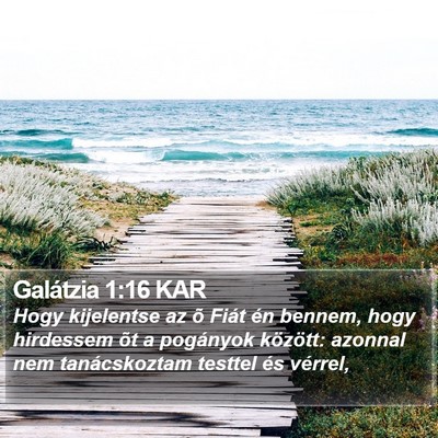 Galátzia 1:16 KAR Bible Verse Image