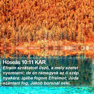 Hóseás 10:11 KAR Bible Verse Image