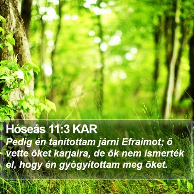 Hóseás 11:3 KAR Bible Verse Image