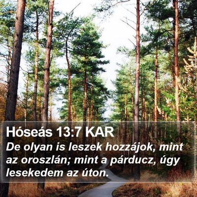 Hóseás 13:7 KAR Bible Verse Image