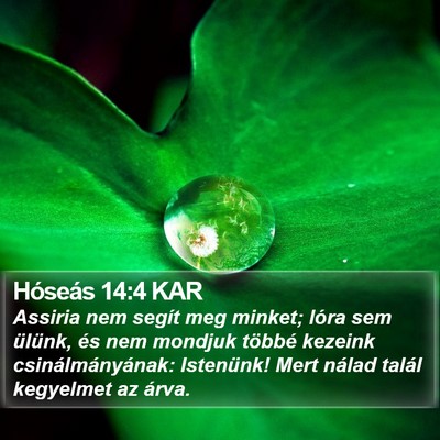 Hóseás 14:4 KAR Bible Verse Image