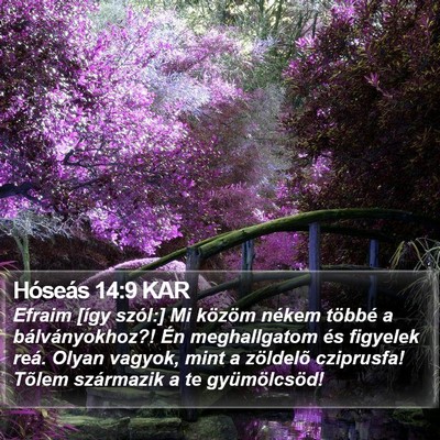 Hóseás 14:9 KAR Bible Verse Image