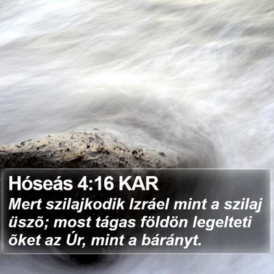 Hóseás 4:16 KAR Bible Verse Image