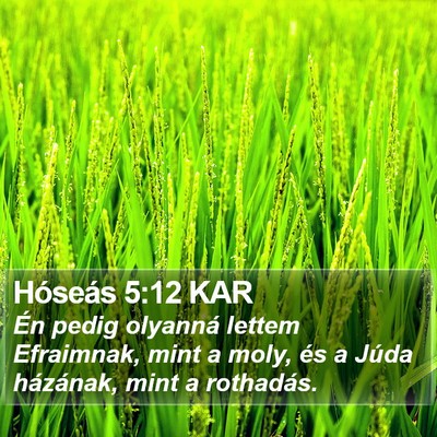 Hóseás 5:12 KAR Bible Verse Image