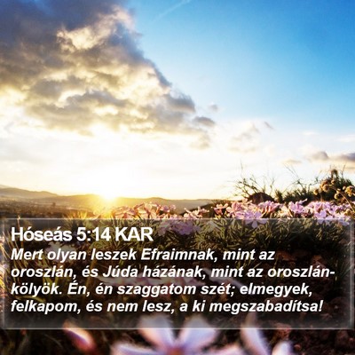 Hóseás 5:14 KAR Bible Verse Image