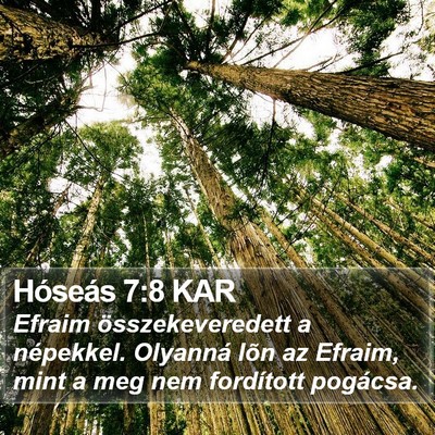 Hóseás 7:8 KAR Bible Verse Image