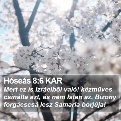 Hóseás 8:6 KAR Bible Verse Image