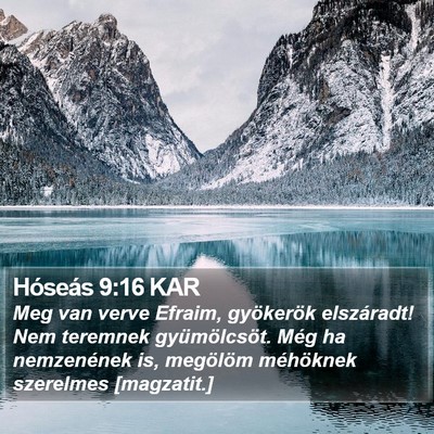 Hóseás 9:16 KAR Bible Verse Image