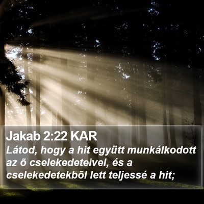 Jakab 2:22 KAR Bible Verse Image