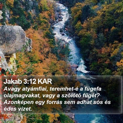 Jakab 3:12 KAR Bible Verse Image