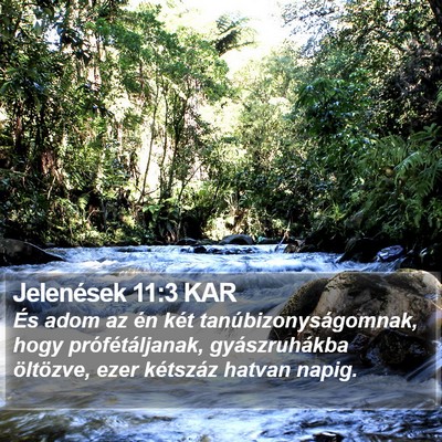 Jelenések 11:3 KAR Bible Verse Image