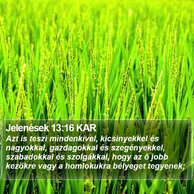 Jelenések 13:16 KAR Bible Verse Image