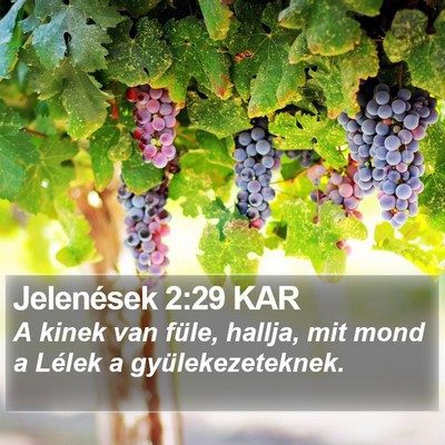 Jelenések 2:29 KAR Bible Verse Image