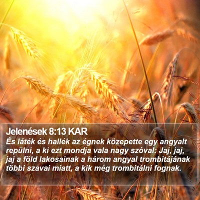 Jelenések 8:13 KAR Bible Verse Image